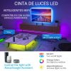 Tira de Luces LED 2