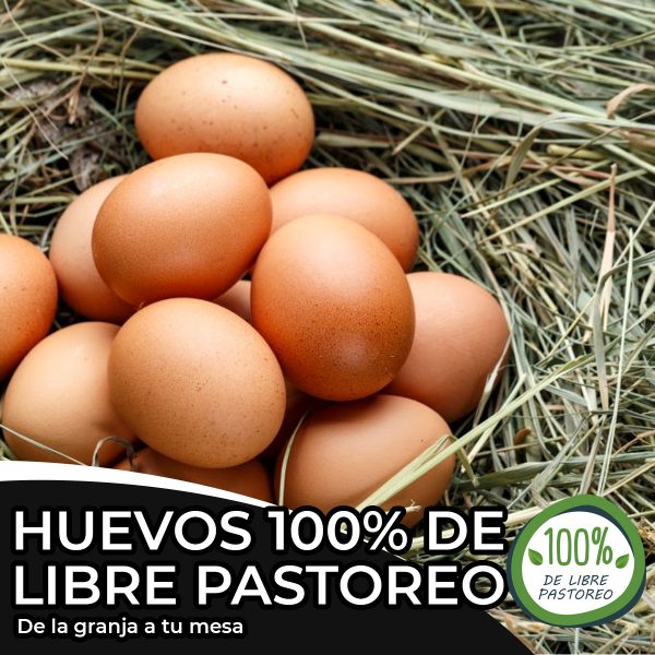 Huevos de libre pastoreo